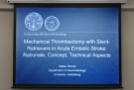 Seminars in Invasive Stroke Treatment