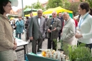 Majówka z medycyną