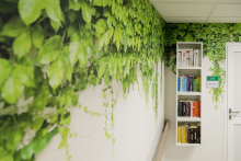 Fragment pomieszczenia, na ścianie tapeta przedstawiająca zielone liście. Widać też wiszącą półkę z książkami.