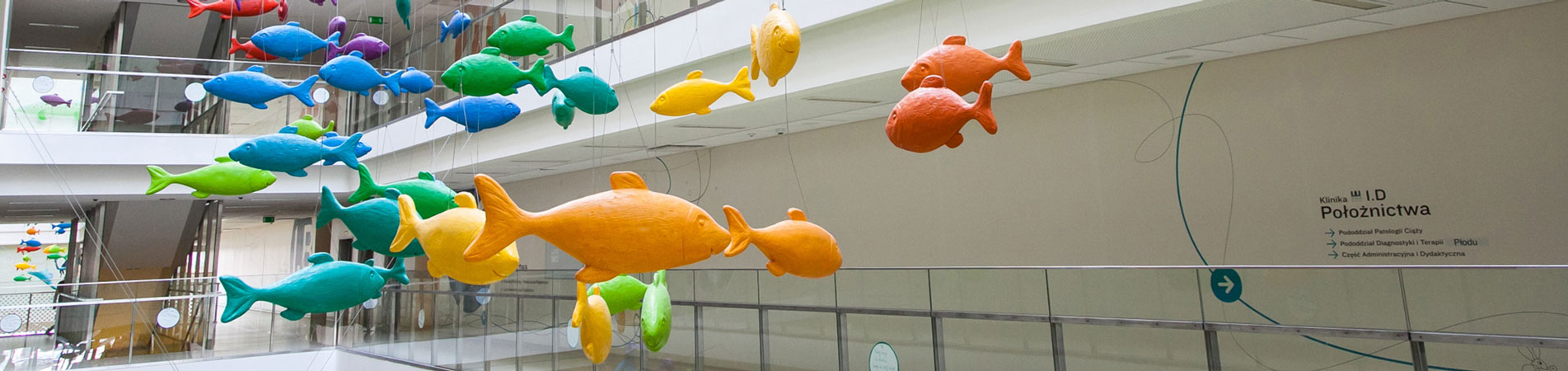 Rybki - ozdoby wiszące w budynku Szpitala Pediatrycznego
