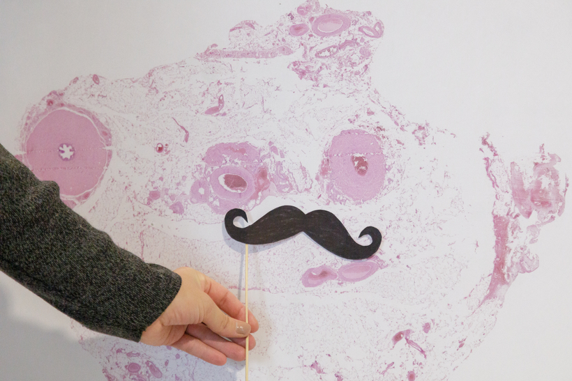wyjątkowa wystawa na WUM w ramach akcji Movember