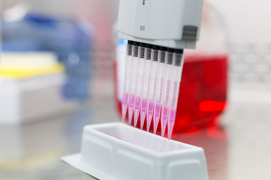 Laboratorium. Wielokanałowa pipeta dozuje różowy płyn do białego prostokątnego pojemnika. W tle duży pojemnik z czerwonym płynem i rozmyty sprzęt laboratoryjny.