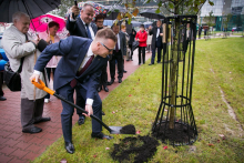 Ceremonial planting of oak trees named after former MUW Rectors