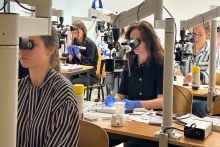 A group of people - workshop participants. They are sitting in front of microscopes. Each person has various medical instruments on the table in front of them. Some people have protective gloves.