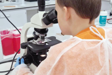 Na zdjęciu widoczna jest jedna osoba w pomarańczowym fartuchu ochronnym z białą siateczką na plecach. Osoba siedzi przy stole laboratoryjnym i patrzy przez mikroskop. Lewą ręką trzyma stolik mikroskopu, na którym leży szkiełko. W tle znajdują się pojemniki w czerwonym kolorze oraz biały blat z przyborami laboratoryjnymi.