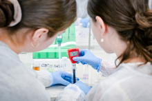 Dwie osoby w białych fartuchach stoją przy blacie w laboratorium. Trzymają pipetę z czerwonym elektronicznym miernikiem, który pokazuje wartość 6,7. Mają niebieskie rękawiczki. Na blacie leżą małe pojemniki z kolorowymi cieczami i zielone pudełko w tle.