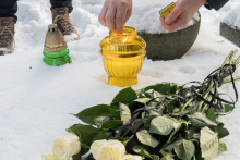 Upamiętnienie wybitnego lekarza kardiologa profesora Askanasa i jego uczniów