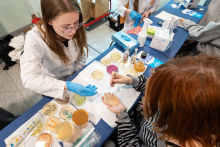 A laboratory workstation where a person wearing gloves is demonstrating work with microbiological samples on Petri dishes, while another person is performing tasks on one of the plates.