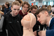 A group of participants examining an anatomical model of the head and brain while the presenter explains the function of individual components.
