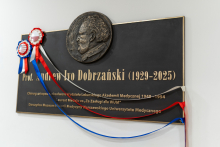 A commemorative plaque with a bronze medallion depicting a man's profile, with ribbons in white, red, and blue hanging on the left side.