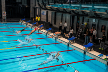 Several men are simultaneously jumping into the water from the starting blocks at an indoor swimming pool, beginning a swimming race. Along the lanes, judges and event staff are standing and watching the start. In the background, the stands, the pool wall, and information boards are visible.