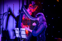 A woman is playing the harp, standing sideways to the audience. She is focusing her gaze on the strings, and her hands are making precise movements. In front of her, there is a music stand with sheet music.