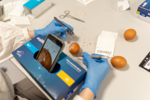 Gloved hands use tweezers and a scalpel to work on a brown egg placed on a table, with a smartphone recording the procedure mounted on a box nearby.