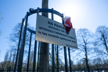 A small commemorative plaque mounted on a metal frame attached to a young tree, with a red-and-white ribbon tied at the top and trees in the background.