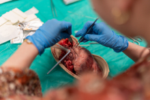 Młodość i pasja do nauki! WIMC 2026 za nami