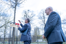 Dwie osoby stoją przy młodym drzewie. Jedna z osób trzyma w rękach biało‑czerwoną wstążkę i mocuje ją do tabliczki, a druga osoba obserwuje tę czynność.