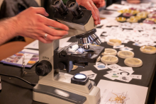 A microscope placed on a workshop table. Hands adjust the focus of the device, and Petri dishes and illustrated observation cards lie nearby.