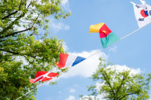 A string of flags from various countries stretches between trees. Among them are the flags of Denmark, France, Cameroon, and South Korea. The background shows the sky with clouds and green tree canopies.