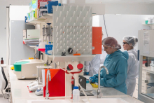 Laboratory staff perform research activities at laboratory workstations.