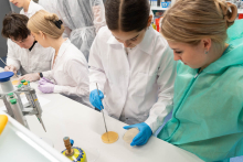 Uczestnicy zajęć laboratoryjnych obserwują pracę z płytką Petriego. Na blacie znajdują się pipety, naczynia laboratoryjne i materiały badawcze.
