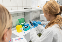 Dwie osoby wykonują ćwiczenie laboratoryjne. Jedna osoba obsługuje pipetę automatyczną przy stanowisku z probówkami i odczynnikami.