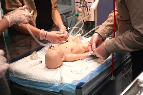 How to help a newborn baby? Practical workshop using ultrasound and medical simulations