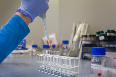 Osoba w rękawiczkach laboratoryjnych pobiera ciecz za pomocą automatycznej pipety i umieszcza ją w probówce stojącej w statywie. Czynność odbywa się przy laboratoryjnym stole roboczym. W tle widoczne są probówki, pojemniki z odczynnikami oraz dodatkowy sprzęt laboratoryjny.