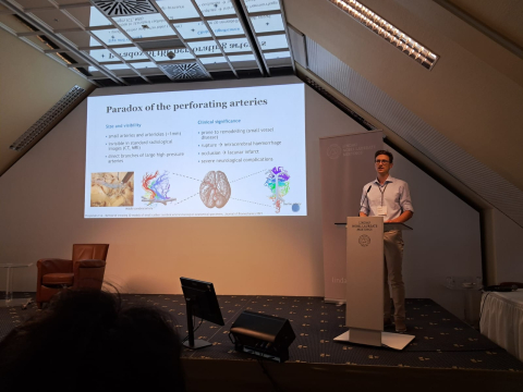 A person stands at a podium during a scientific presentation at the Lindau Nobel Laureate Meetings. A large screen behind the speaker displays a slide titled “Paradox of the perforating arteries” with medical illustrations and diagrams.