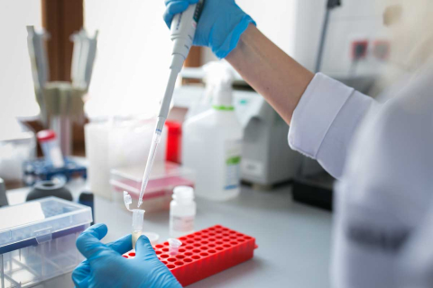 Osoba wykonuje czynności laboratoryjne przy użyciu pipety automatycznej. W dłoni trzyma probówkę, do której przenosi próbkę. Na blacie znajdują się stojak na probówki oraz wyposażenie laboratoryjne.