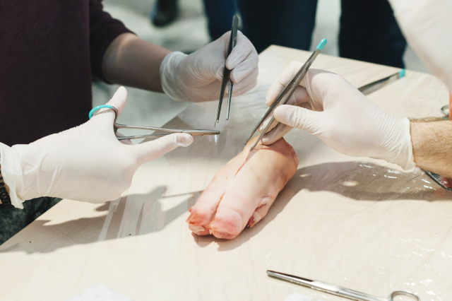 European Medical Students' Association (EMSA)