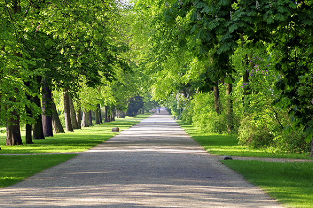 Parki w Warszawie