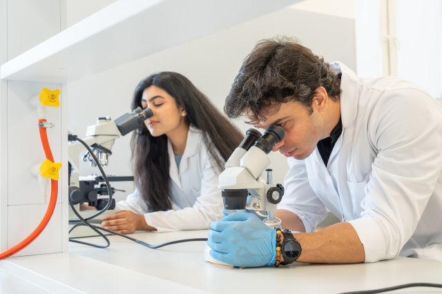 Dwie osoby prowadzą obserwacje przez mikroskopy przy stanowiskach laboratoryjnych wyposażonych w sprzęt badawczy.